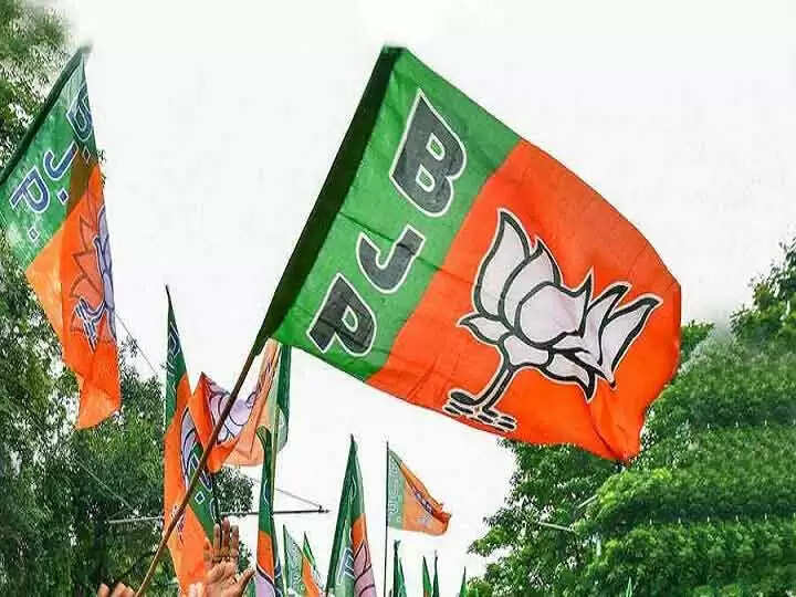 Bjp flag